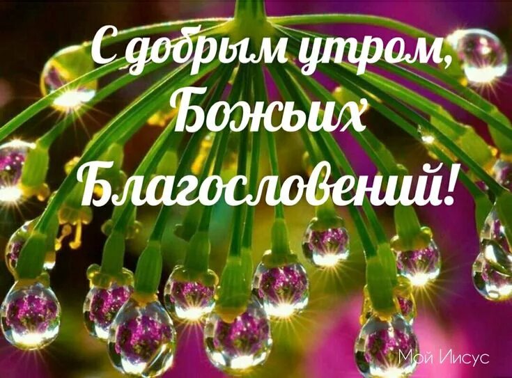 Картинки добрые пожелания с божьим благословением Pin von NATALIA auf С добрым утром благословений от Бога!