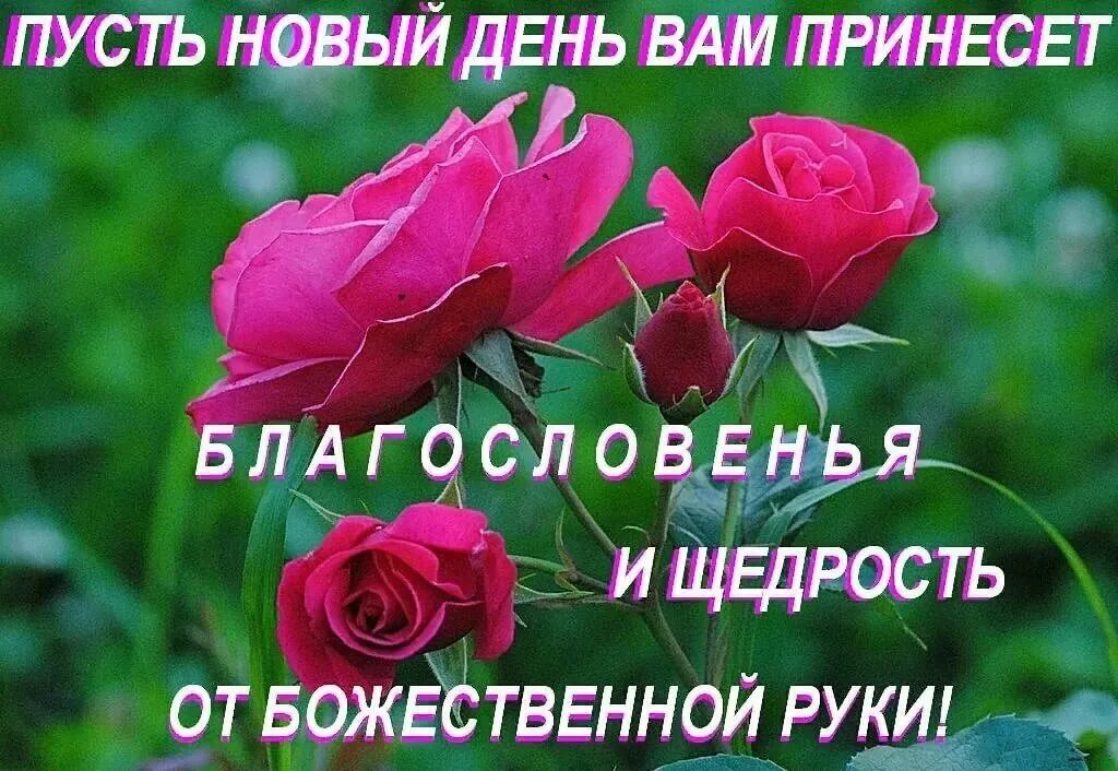 Картинки добрые пожелания с божьим благословением Открытки с добром утром благословенного дня - найдено 74 картинок
