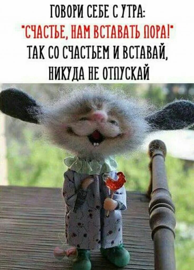 Картинки добрые позитивные смешные и прикольные С добрым утречком! шуточные картинки - Прикольные картинки про утро с юмором - У