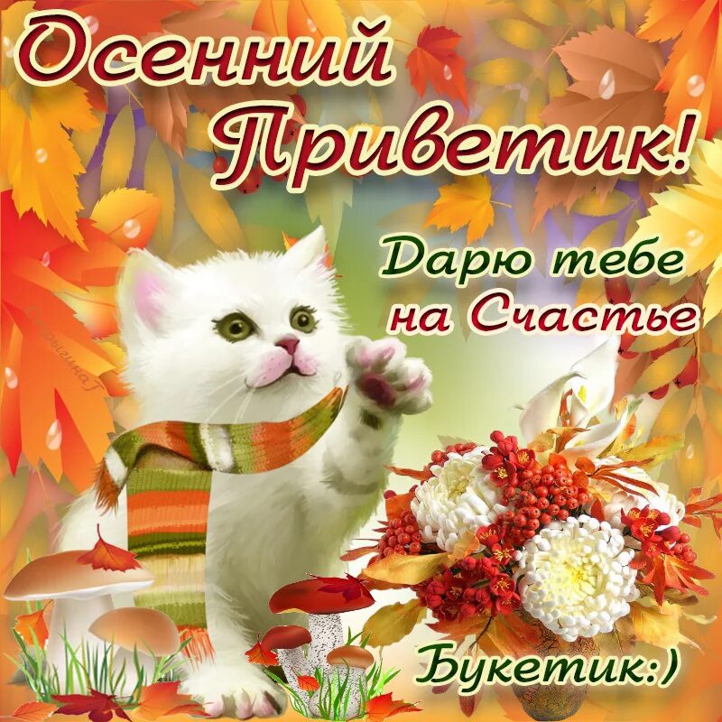 Картинки добрый день позитивные женщине осенние Бесплатная открытка с Осенним Приветом