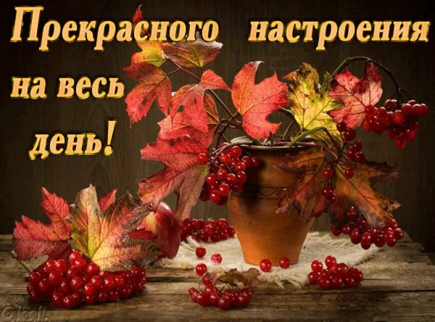 Картинки добрый день позитивные женщине осенние Замечательного дня осень