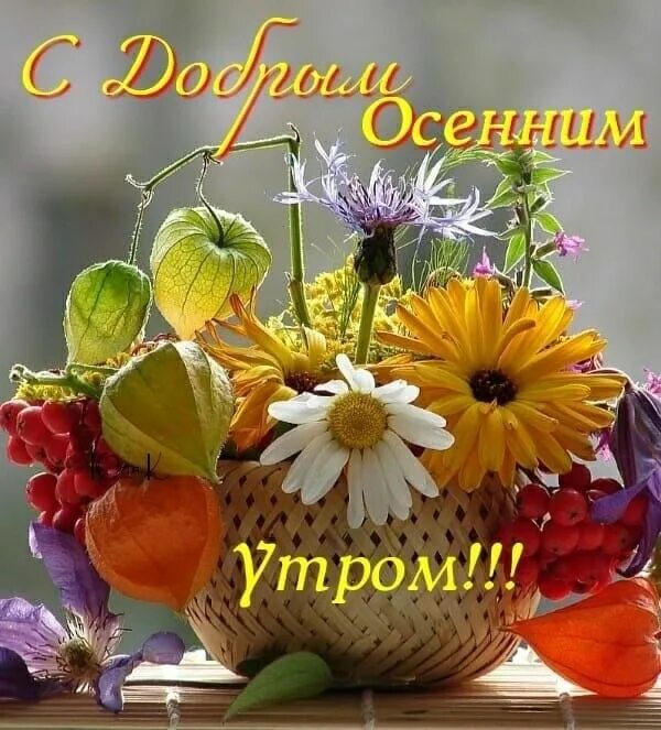 Картинки добрый день позитивные женщине осенние Пин от пользователя Vostkova Larisa на доске Доброе утро в 2023 г Осенние цветоч