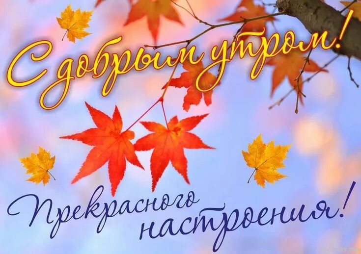 Картинки добрый день позитивные женщине осенние Пин от пользователя Kira Lanak на доске Доброе утро и день Доброе утро, Осенние 