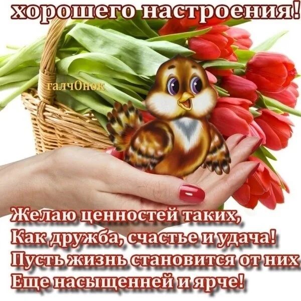 Картинки добрый день с пожеланиями благополучия БЛАГОПОЛУЧИЯ! - Фотография 285 из 300 ВКонтакте