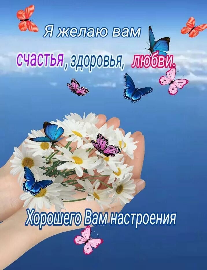 Картинки добрый день с пожеланиями благополучия Пин от пользователя irina spasova на доске Обичам те Открытки, Счастливые картин