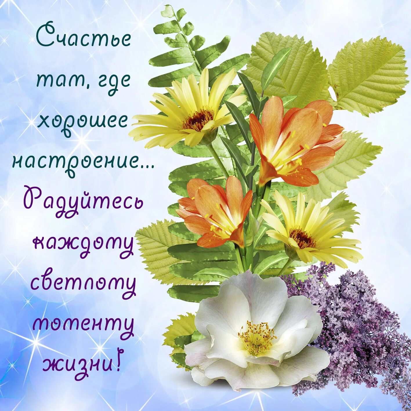 Картинки добрый день с пожеланиями благополучия Картинки ПОЖЕЛАТЬ УДАЧИ И СЧАСТЛИВОГО ДНЯ
