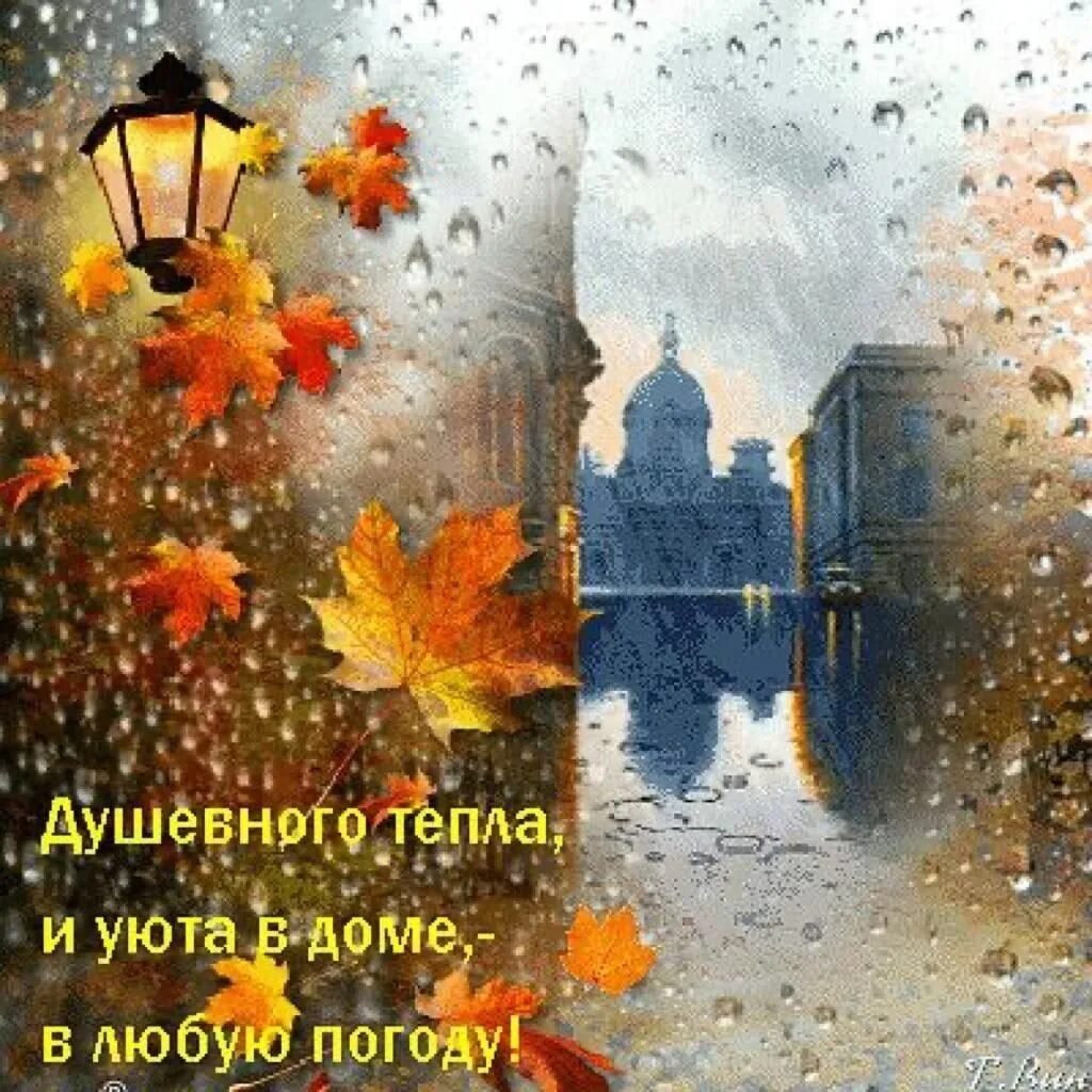Картинки добрый вечер дождь Осень дарит нам лёгкую грусть. Разноцветный ковёр тихо стелется. Дождь стучит по