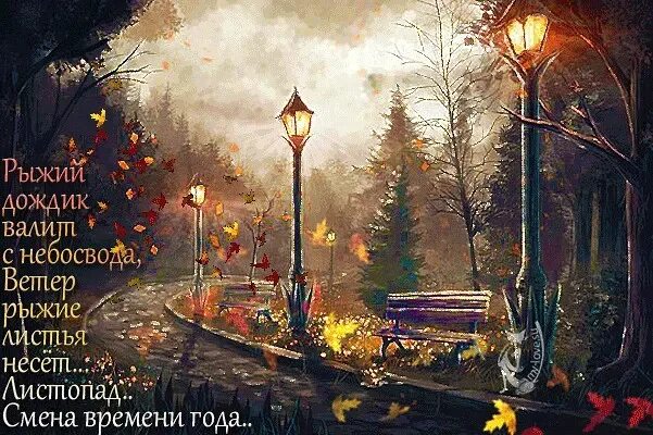 Картинки добрый вечер дождь Уютного вечера !!! 2022 Подслушано в Павлово ВКонтакте