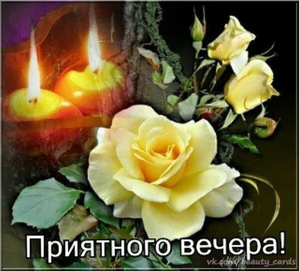 Картинки добрый вечер душевной теплоты Pin by Татьяна Лабоцкая on Приятного вечера. Montreal botanical garden, Rose, Fl