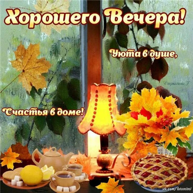 Картинки добрый вечер душевной теплоты Пин на доске Добрый вечер! Благодарственные открытки, Зимнее искусство, Ночь