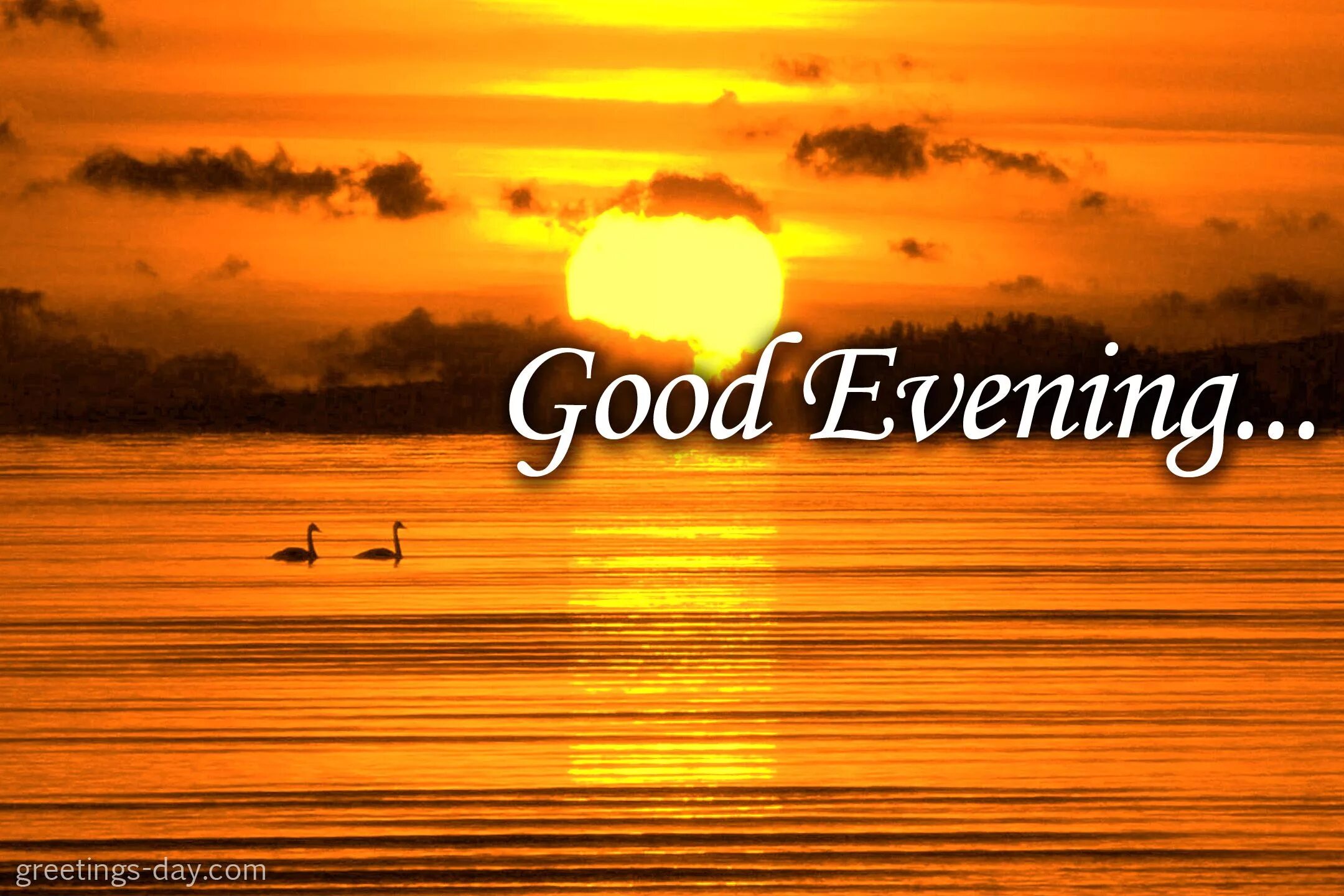 Картинки добрый вечер на немецком GOOD EVENING Good evening greetings, Good evening wallpaper, Photos of good nigh