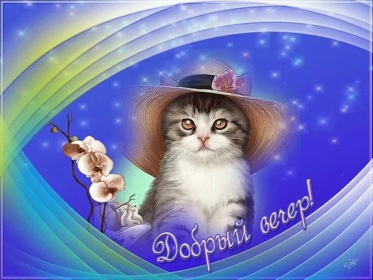 Картинки добрый вечер позитивчик Гид на Тенерифе on Instagram: "Добрый вечер, друзья! #добрыйвечер #добрыйвечердр