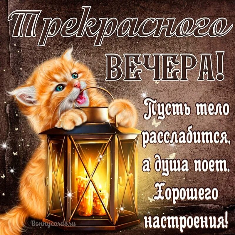 Картинки добрый вечер позитивчик #картинки 2023 Доброе утро любимая ВКонтакте