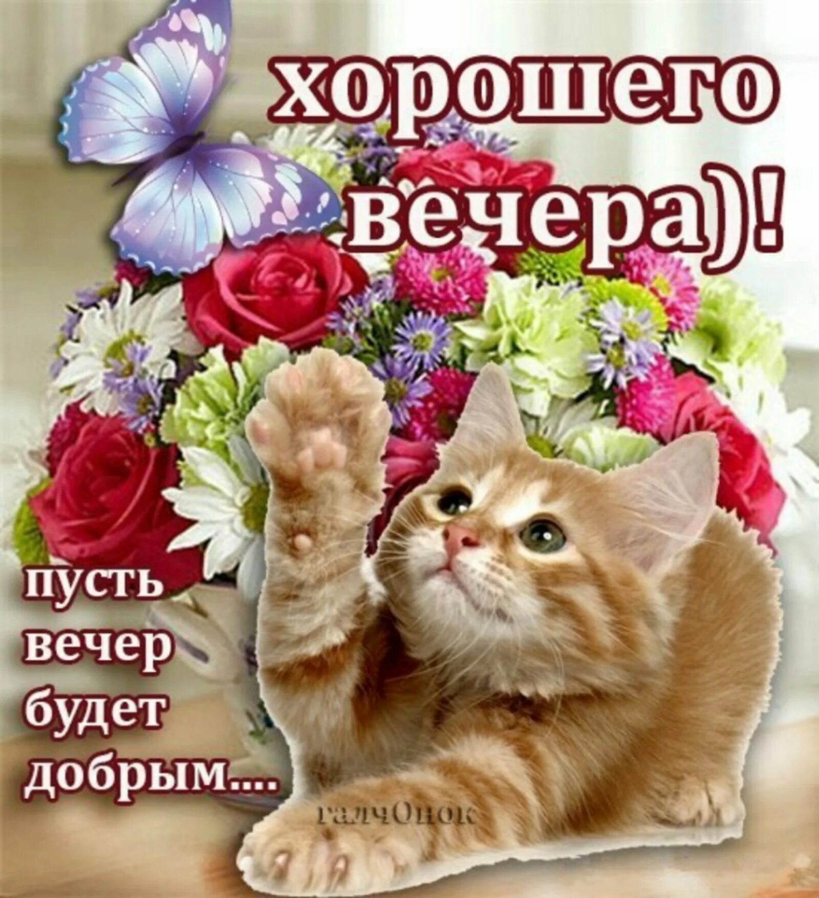 Картинки добрый вечер позитивчик Хорошего тебе дня и вечера