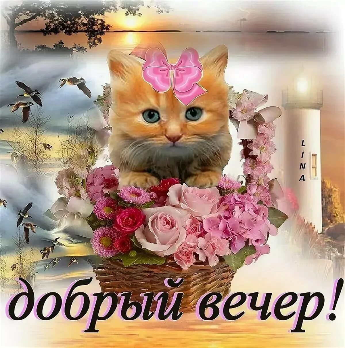 Картинки добрый вечер позитивчик Добрый вечер прикольные новые: найдено 85 изображений