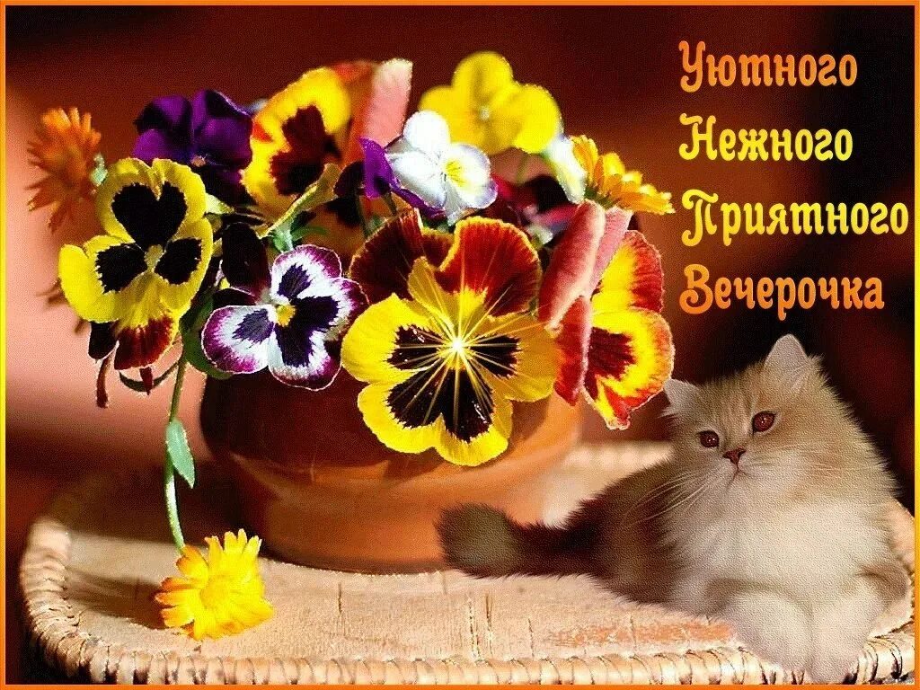 Картинки добрый вечер позитивчик ПРИВЕТСТВИЯ и ПОЖЕЛАНИЯ, открытки на каждый день. - 31 марта 2019 в 17:48