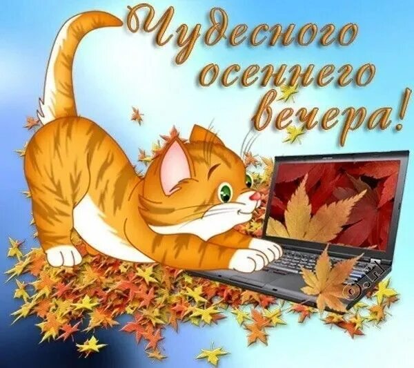 Картинки добрый вечер с пожеланиями сентябрь Pin af Lyubov Malova på добрый вечер