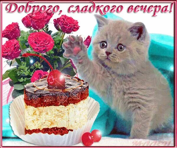 Картинки добрый вечер сладкий Уши лапы и хвосты - Фото OK.RU Birthday cake, Birthday, Desserts