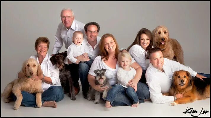 Картинки домашних животных семья Family Photo with Dogs