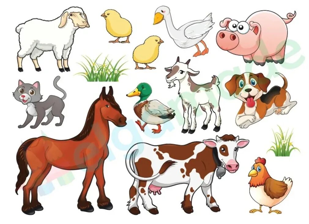 Картинки домашних животных семья ФИЛВОРД по теме "Animals"