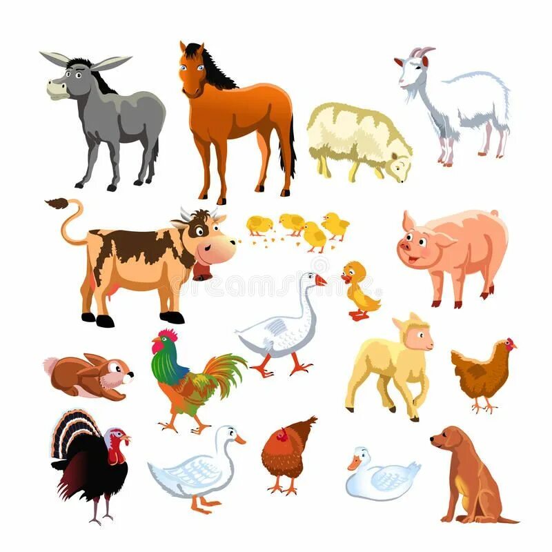 Картинки домашних животных цветные Farm animals. Illustration of several farm animals , #ad, #animals, #Farm, #farm