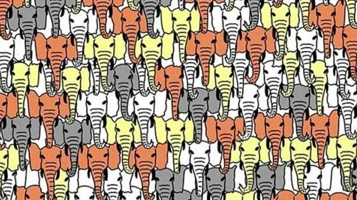 Картинки где нужно найти животных Can you find the panda hidden among the elephants? Try the latest viral puzzle E
