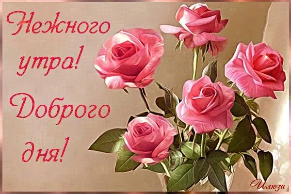 Картинки хорошего дня и настроения розы Анимированная открытка Открытки с пожеланием доброго утра Доброе утро, Картинки,