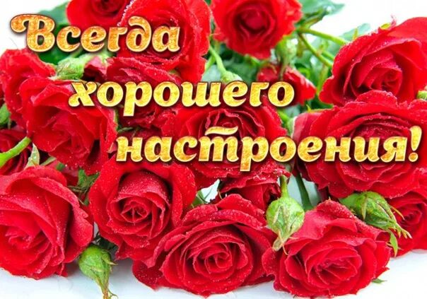 Картинки хорошего дня и настроения розы Портрет Татьяны Снежиной Автор портрета Ирина Белякова 2019 Татьяна Снежина ЛИРИ
