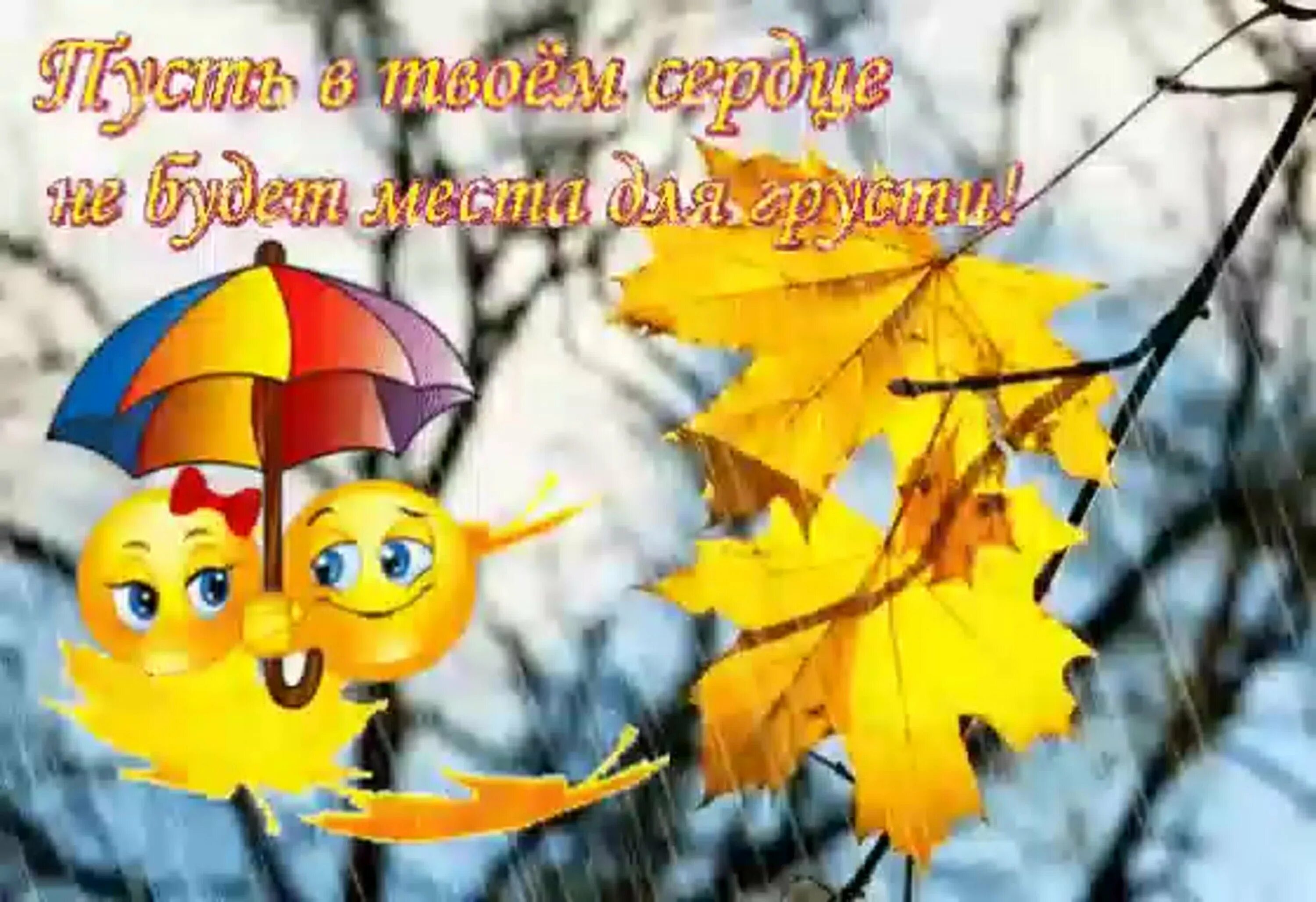 Картинки хорошего дня осенние позитив Утро доброе картинки осень погода: найдено 78 изображений