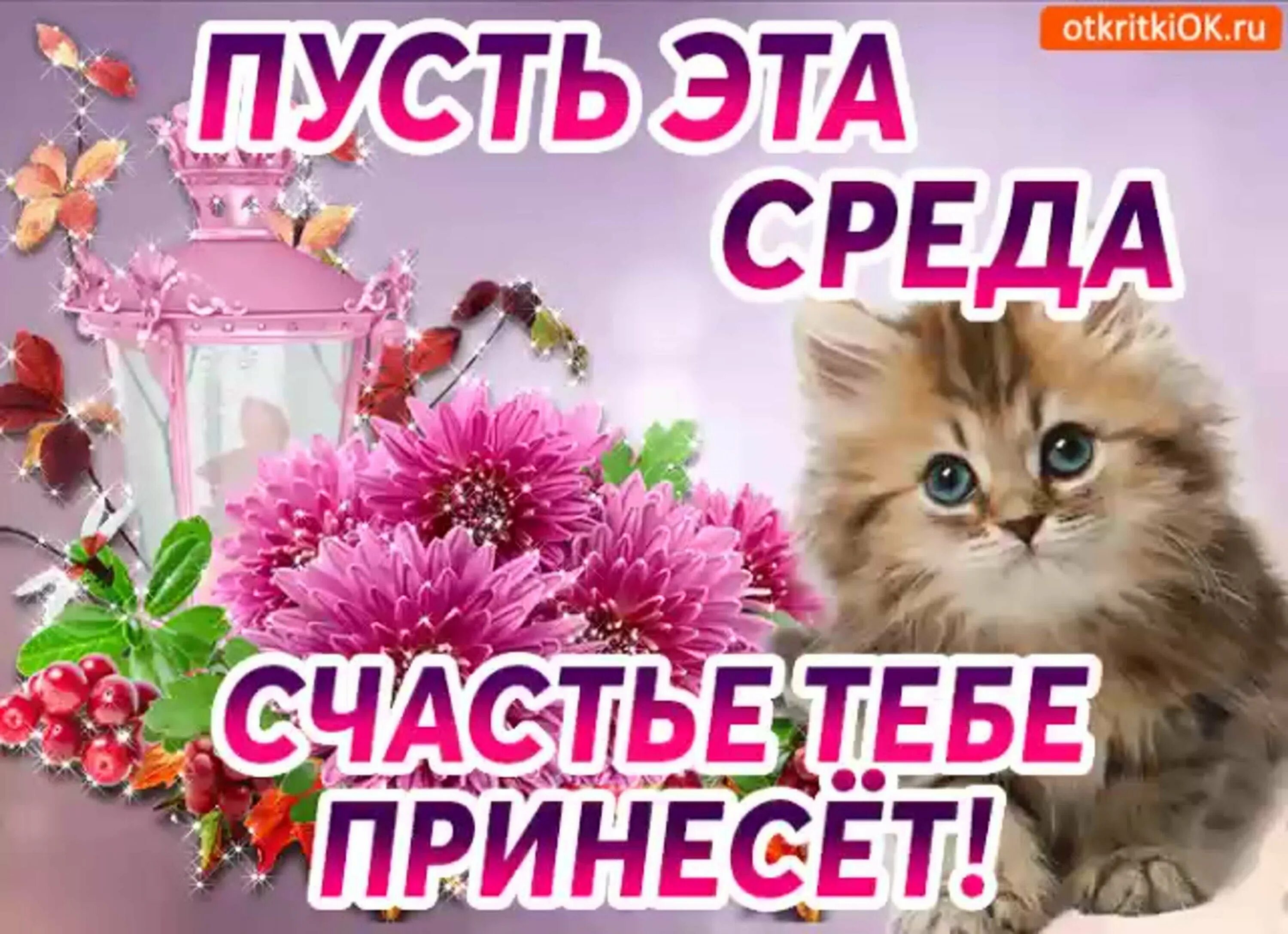 Картинки хорошего дня среда бесплатно Со средой в прозе: найдено 90 изображений