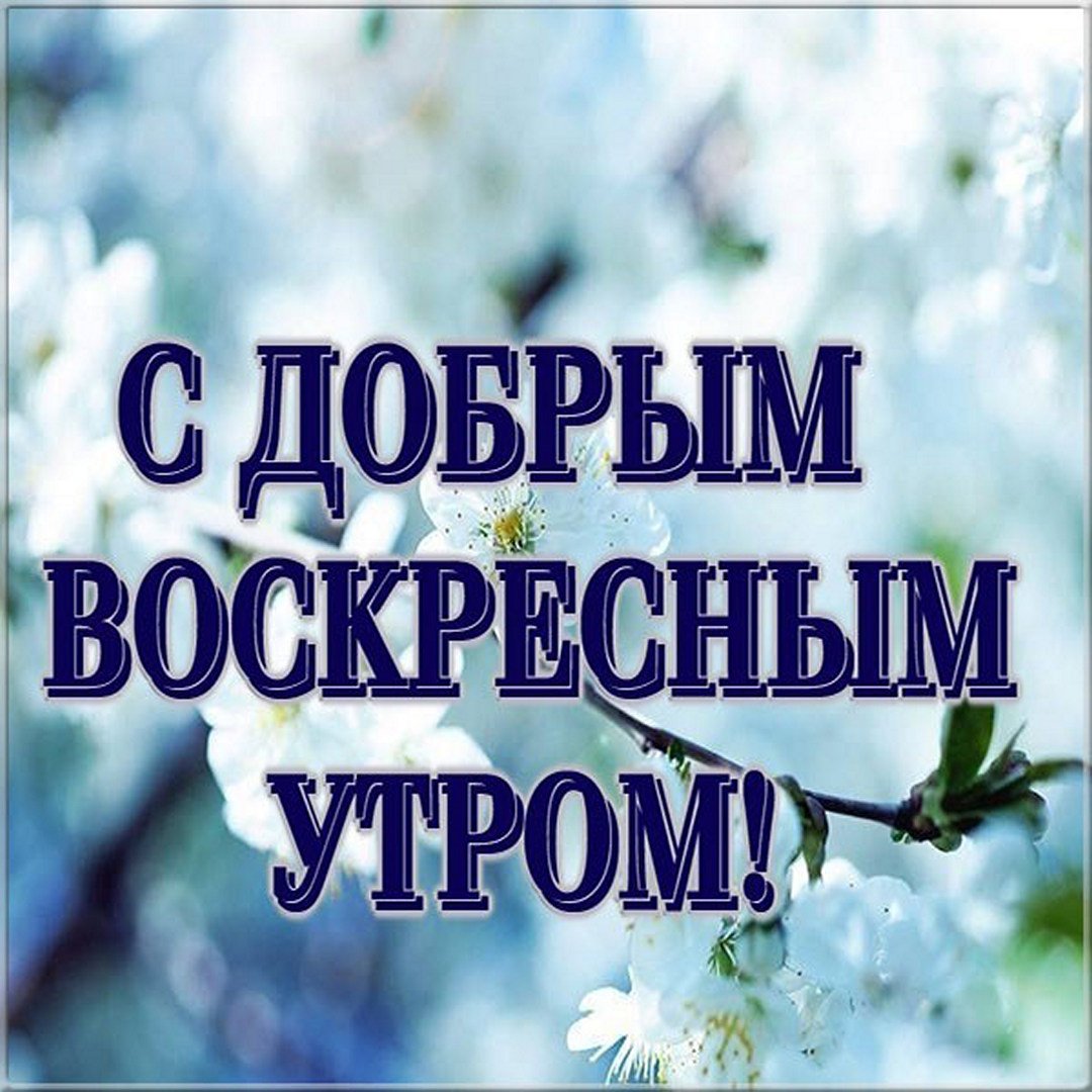 Картинки хорошего доброго воскресного утра Доброе ВОСКРЕСНОЕ утро картинки и прикольные открытки
