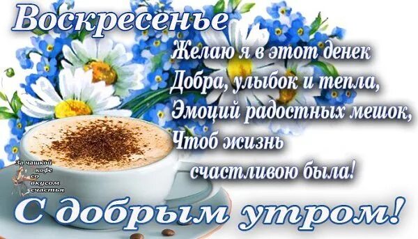 Картинки хорошего доброго воскресного утра Доброе утро - "Я и ты Водолей - вместе будет веселей.", пользователь Ольга Плесо