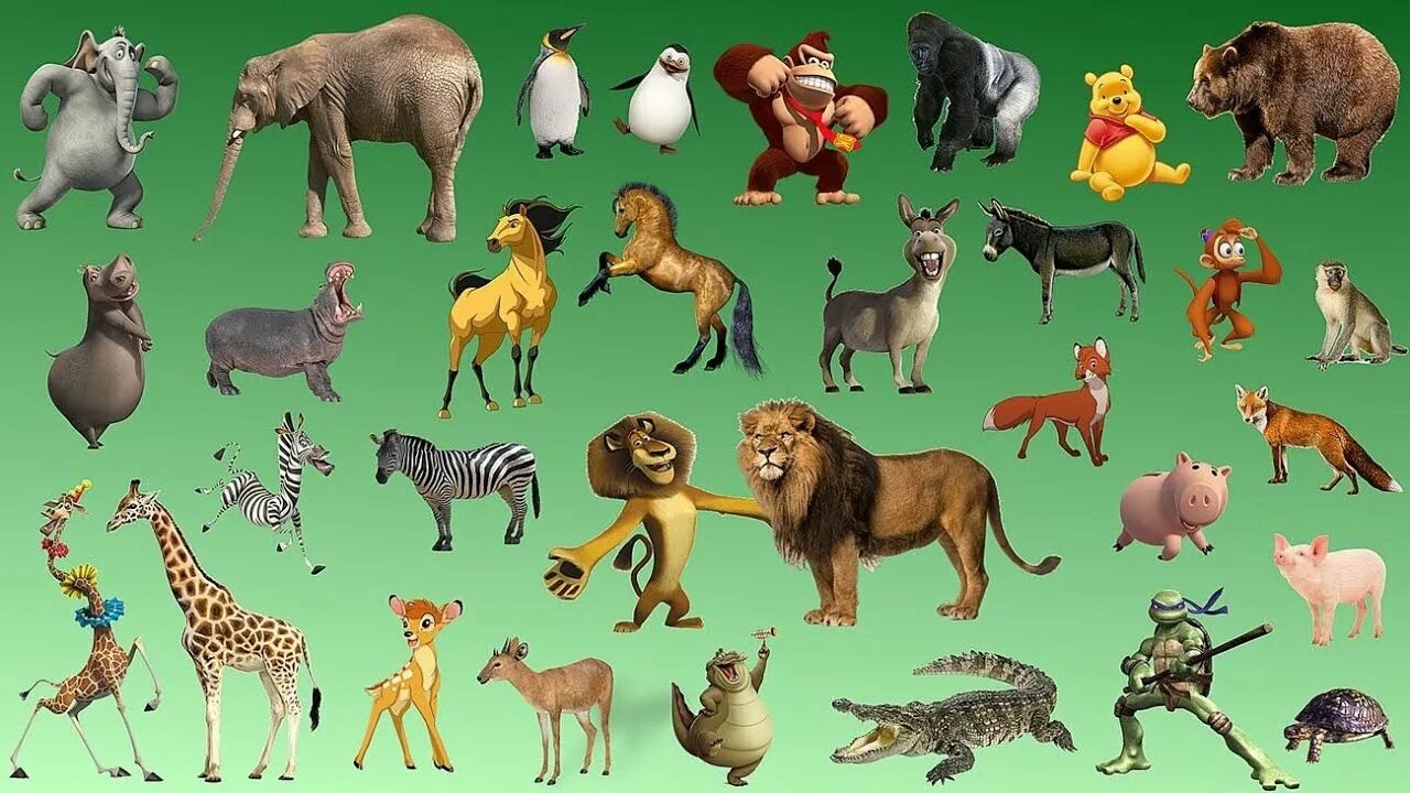 Картинки изучение животных Animal Sounds Pets Wild Animals - YouTube