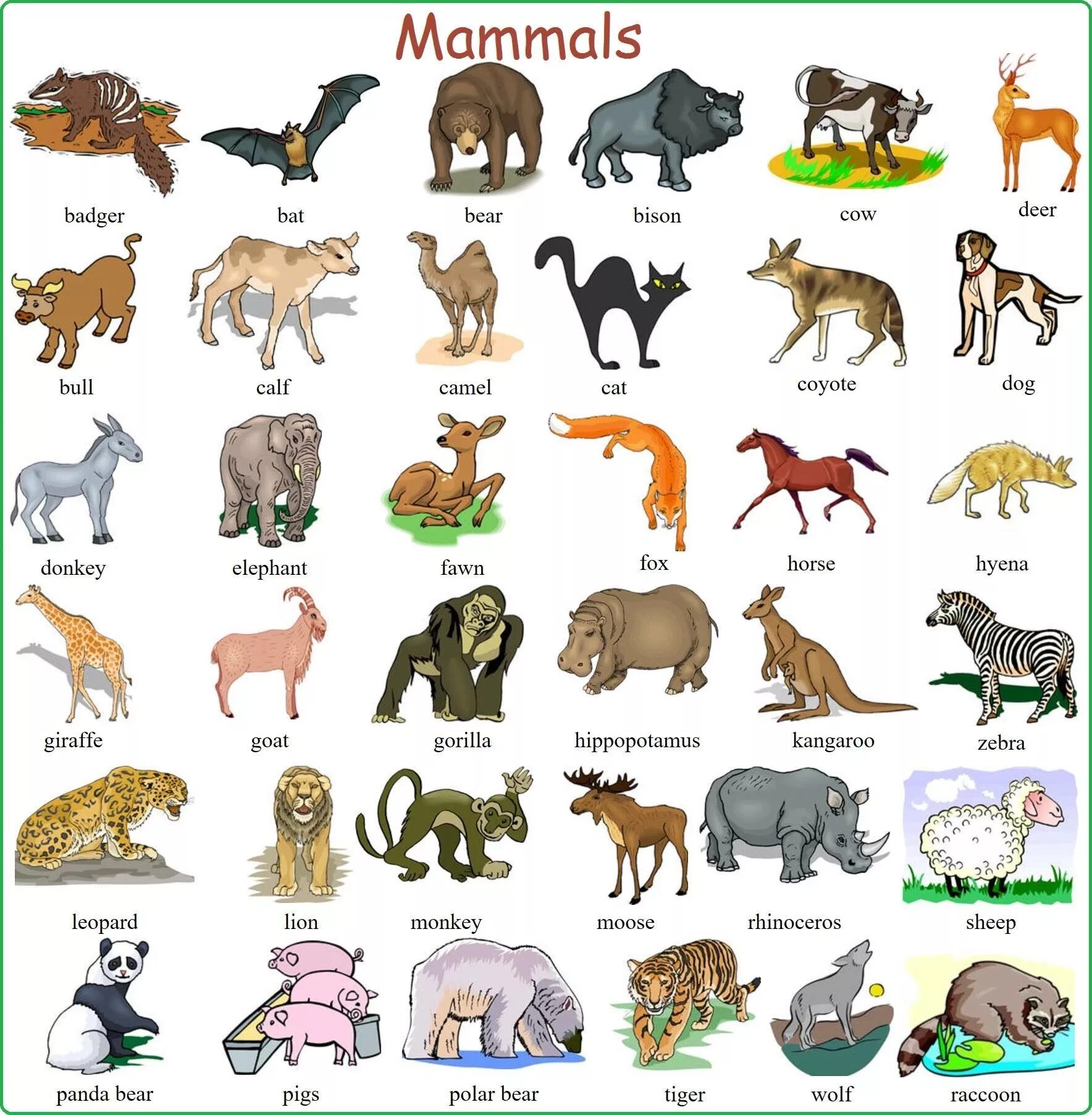 Картинки как называются животные Pin by myriam romero mantero on Inglés Animals name with picture, Animals name i