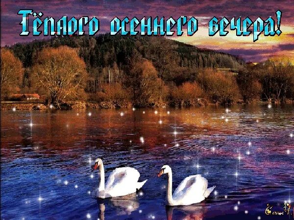 Картинки красивые добрый вечер мерцающие сентябрь Добрый вечер, дорогие друзья!!! 2022 Станислав Бондаренко. Актер театра и кино .