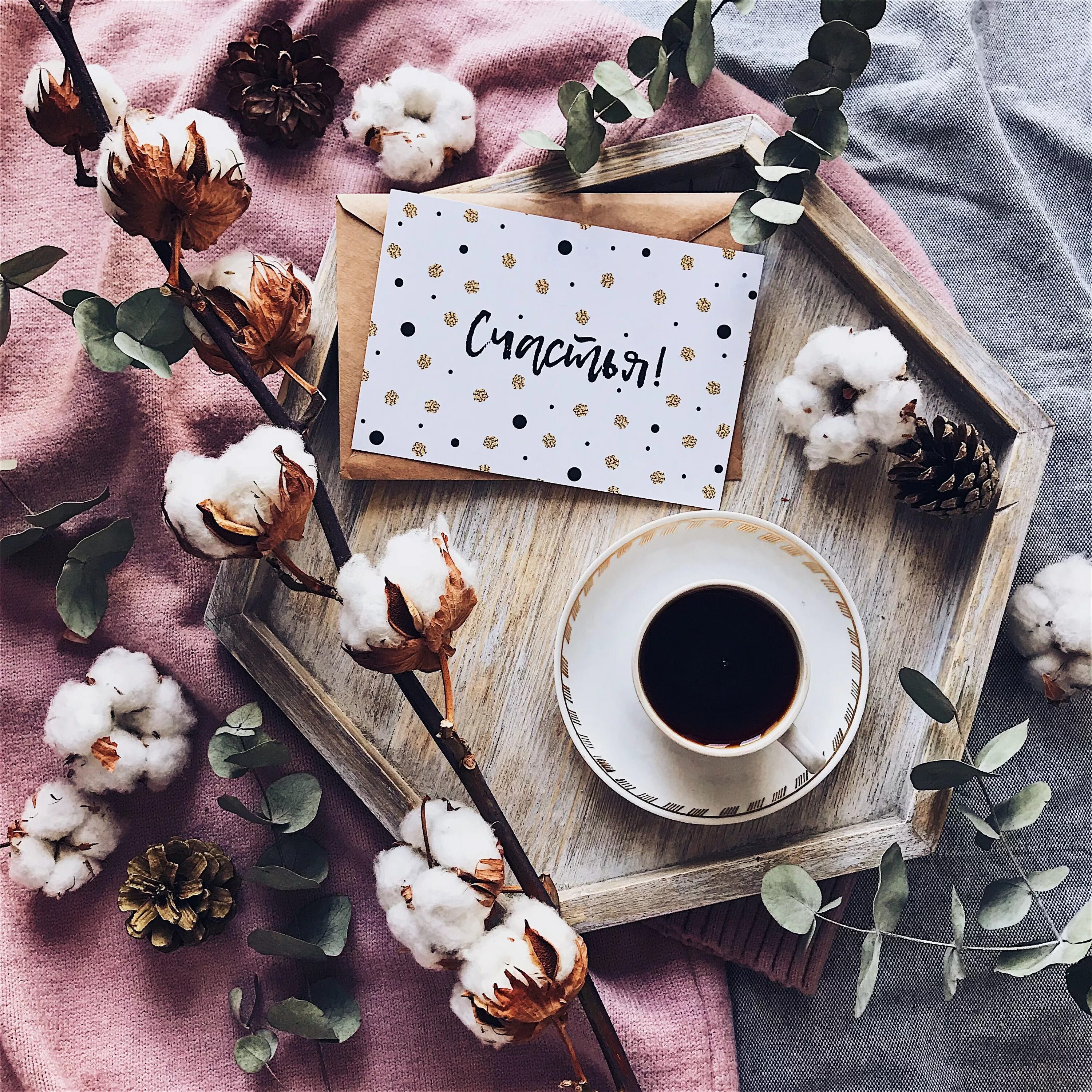 Картинки красивые с добрым утром вдохновляющие Flatlay #flatlay #photo #irasitnikovaphoto Travel book design, Book design inspi