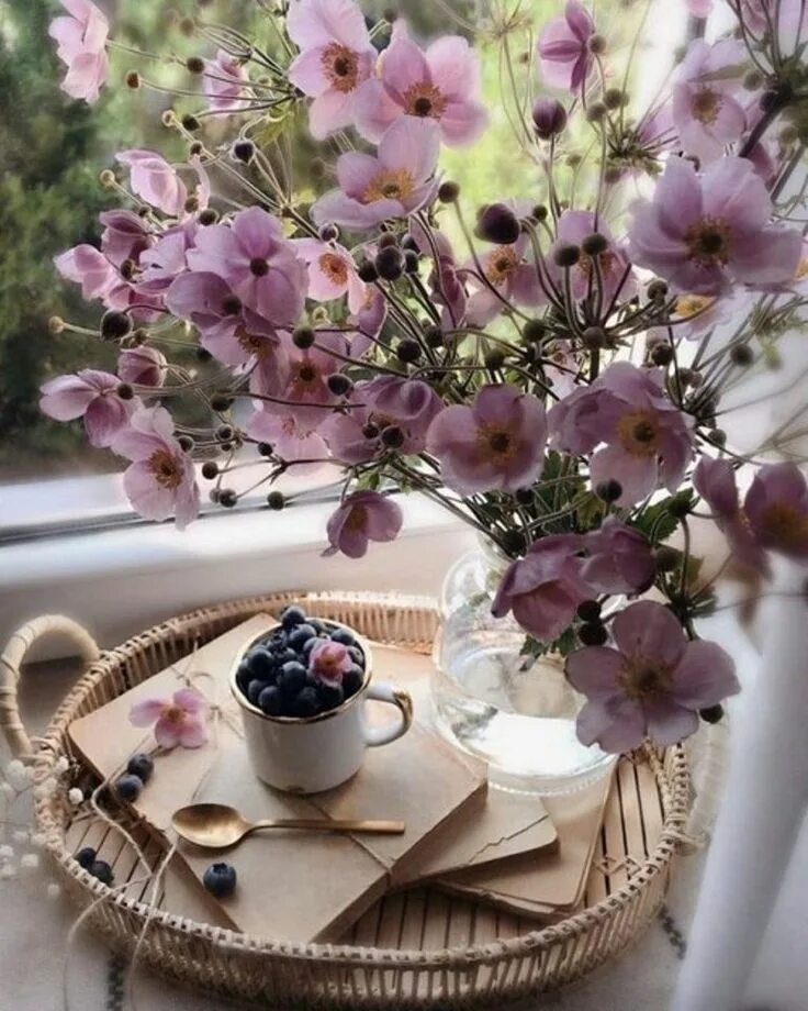 Картинки красивые с добрым утром вдохновляющие Pin on *La vie est belle* Beautiful flowers, Coffee flower, Flower aesthetic