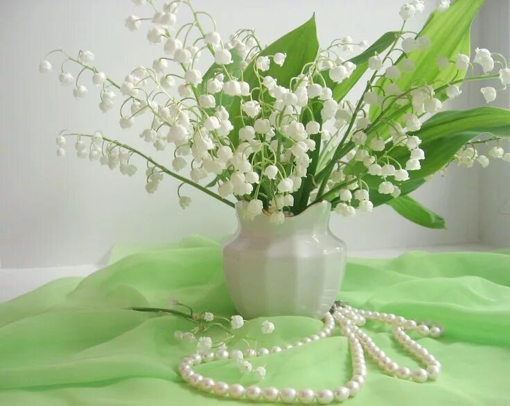 Картинки ландыши красивые с пожеланиями Lily of the valley, Flowers, Flower wall
