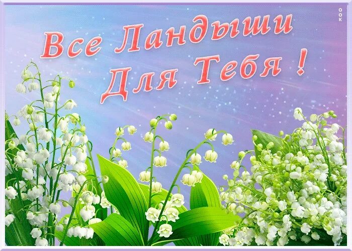 Картинки ландыши красивые с пожеланиями Виртуальная открытка с ландышами Открытки Онлайн