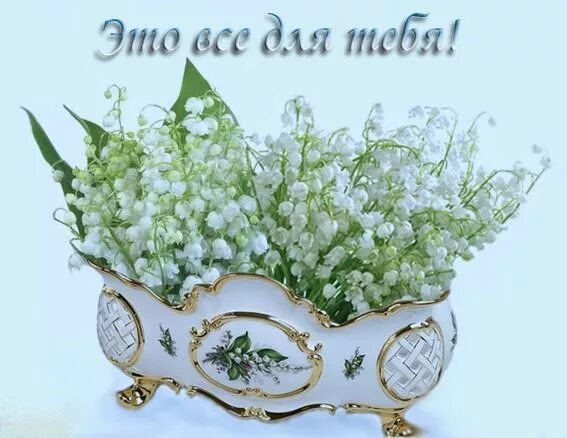 Картинки ландыши красивые с пожеланиями Ландыши белые, ландыши нежные... - "Все самое Интересное и Красивое.", пользоват