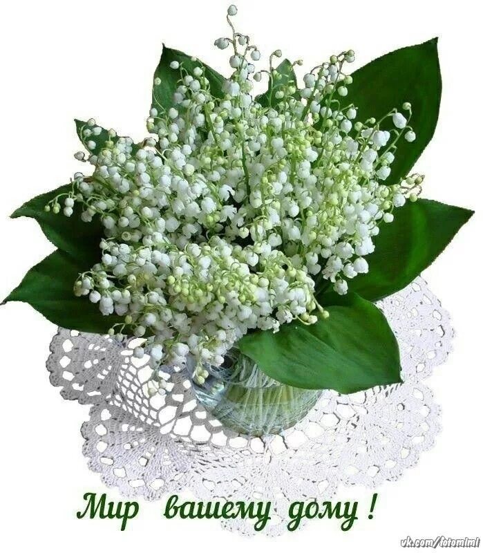 Картинки ландыши красивые с пожеланиями Pin by Lina on Напитки Herbs, Cabbage, Vegetables