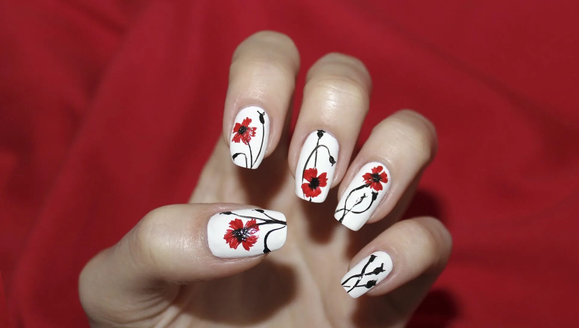 Картинки маникюр с рисунком Poppies Nails Гвоздь, Маникюр, Ногти