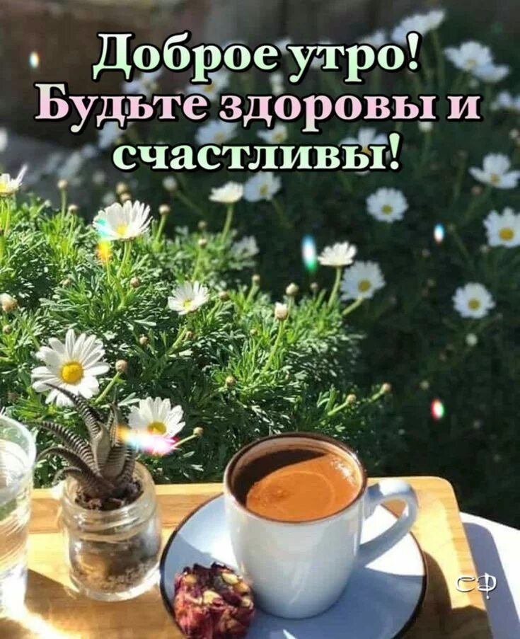 Картинки мира здоровья хорошего дня Пин от пользователя Ð*Ð²ÐµÑÐ"Ð ° Ð½Ð ° Ð на доске \u0412\u0438\u0434\u0435\u043E