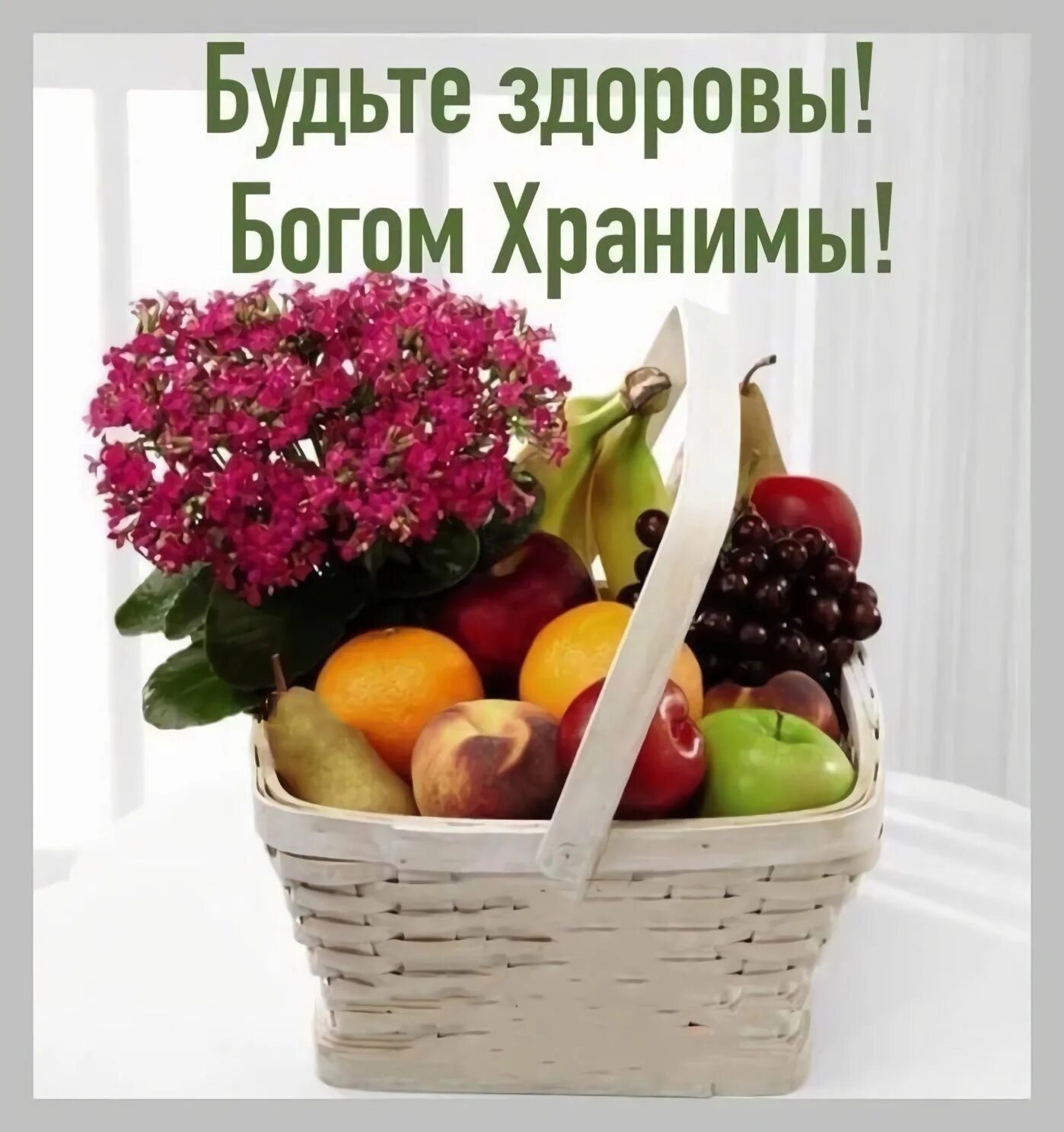 Картинки мира здоровья хорошего дня В первую очередь желаем здоровья: найдено 87 изображений
