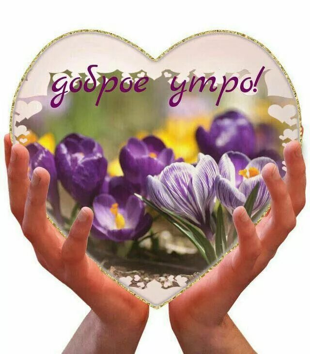 Картинки мира здоровья хорошего дня Pin su Поздравительные Buongiorno immagini, Buongiorno, Immagini