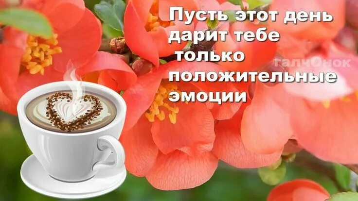 Картинки мира здоровья хорошего дня Pin van Ходар Лорик op утро