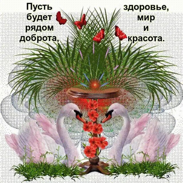 Картинки мира здоровья хорошего дня Знакомства@Mail.Ru - Наталья, 62 жылғы, Khosta, танысу жігіт жаста 51 - 80 жас