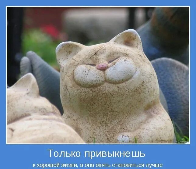 Картинки мотиваторы позитивные для хорошего настроения Pin on Кошки Just smile, Player 1, Macmillan