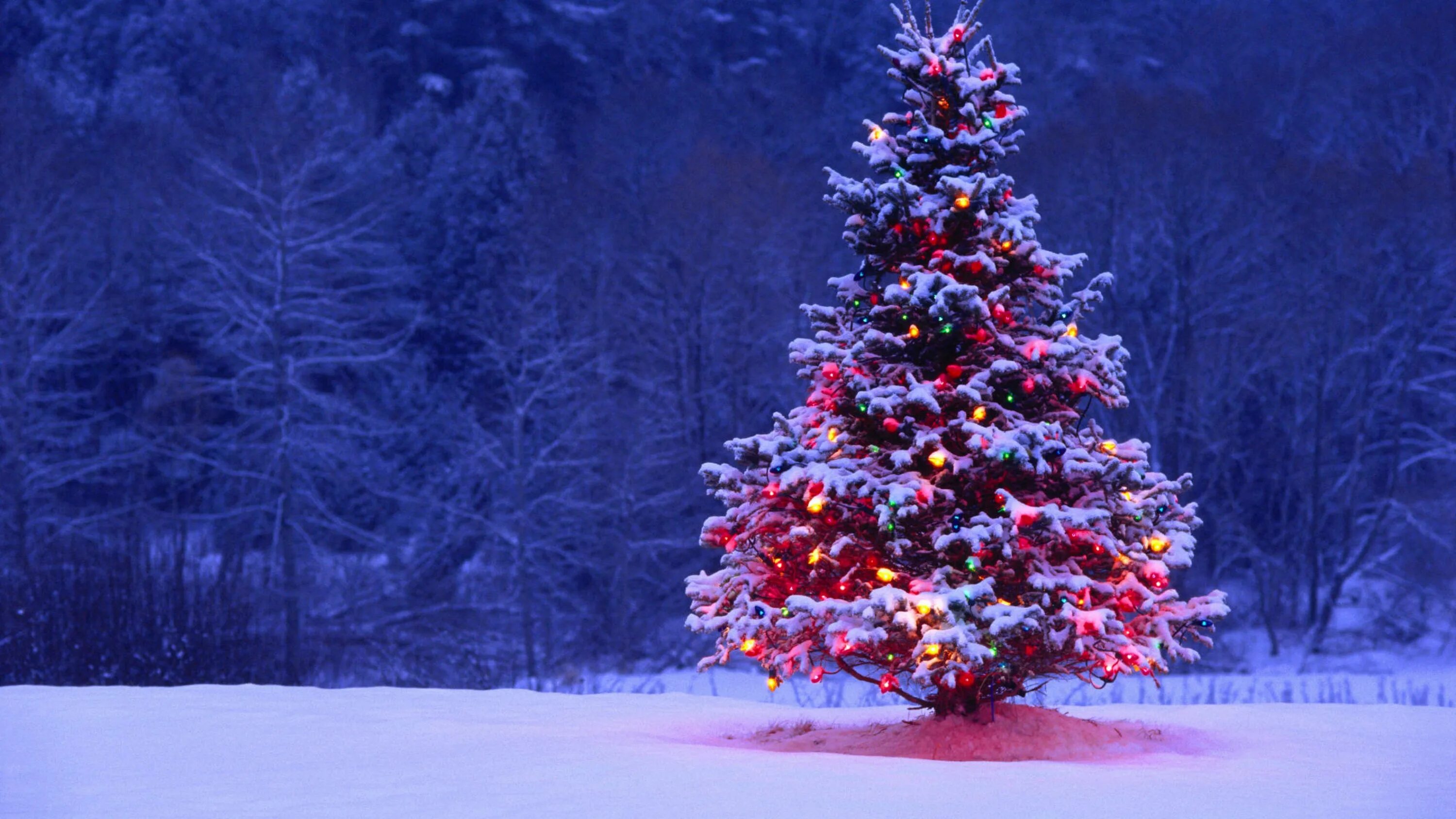 Картинки на дне нового года Wallpaper Christmas Day, Christmas Tree, Christmas Decoration, Winter, Tree, Bac