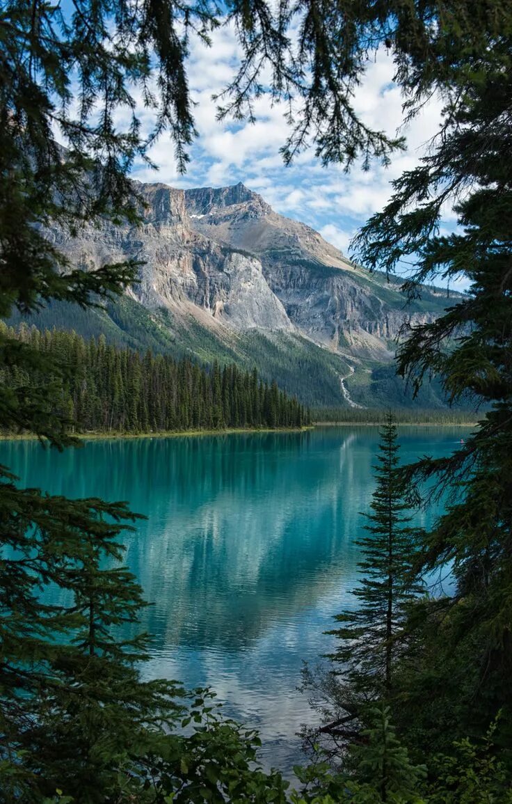 Картинки на телефон фото природы A Peek of Emerald Lake, Yoho National Park, Canada Nature, Scenery, Canada natio